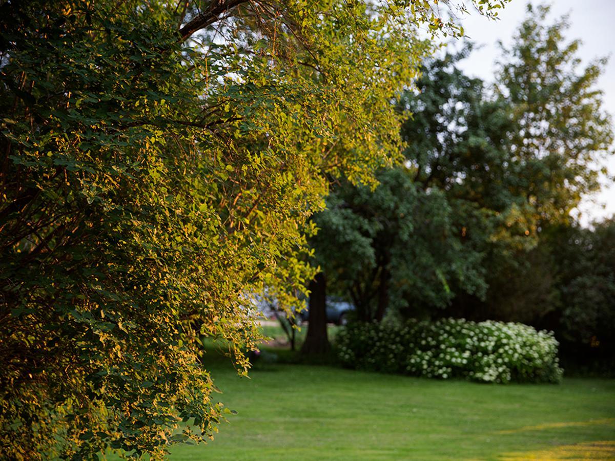 Brooksbnb Sussex Bagian luar foto