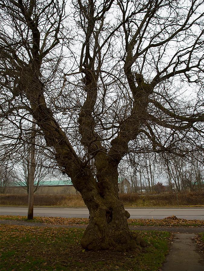 Brooksbnb Sussex Bagian luar foto