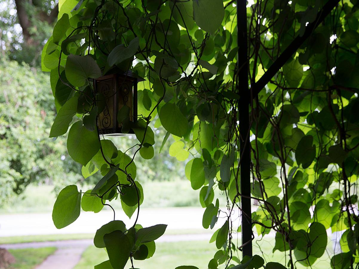 Brooksbnb Sussex Bagian luar foto